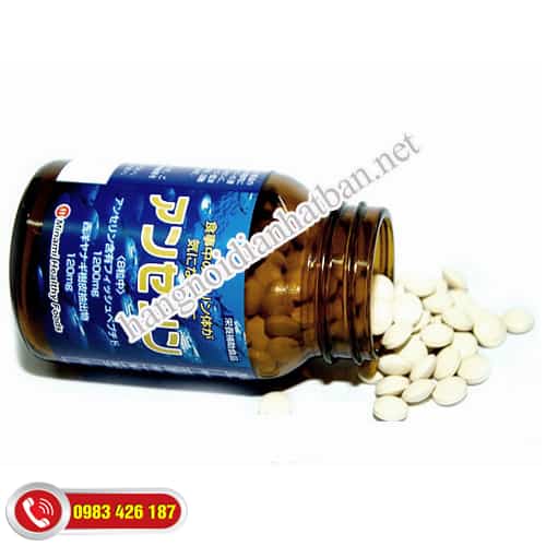 Gout Anserine Minami chống lão hóa
