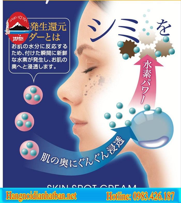 Bạn đã biết 10 câu hỏi này về Kem Bôi Nám H2 Skin Spot Cream 10g Nhật Bản?